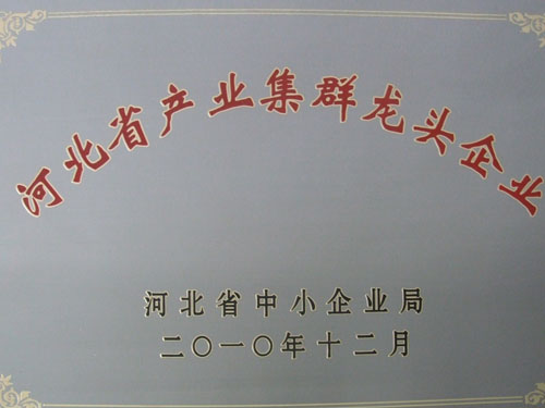 河北省中小企業局產業集群龍頭企業