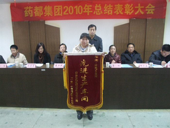 藥都制藥集團召開2010年度工作總結表彰大會