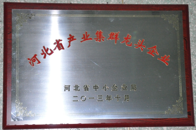 藥都集團被評為“河北省產業集群龍頭企業”
