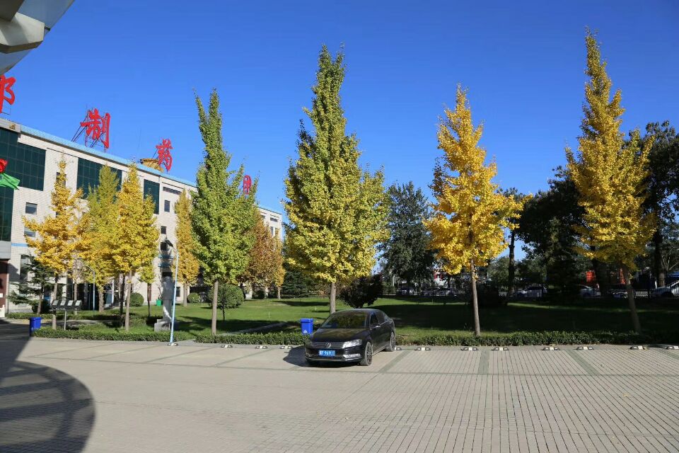 2017112113846921.jpg 2017112113846921.jpg