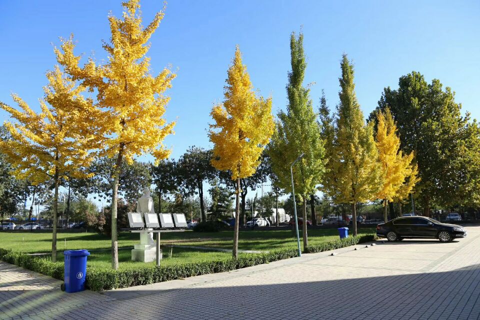 2017112113855909.jpg 2017112113855909.jpg