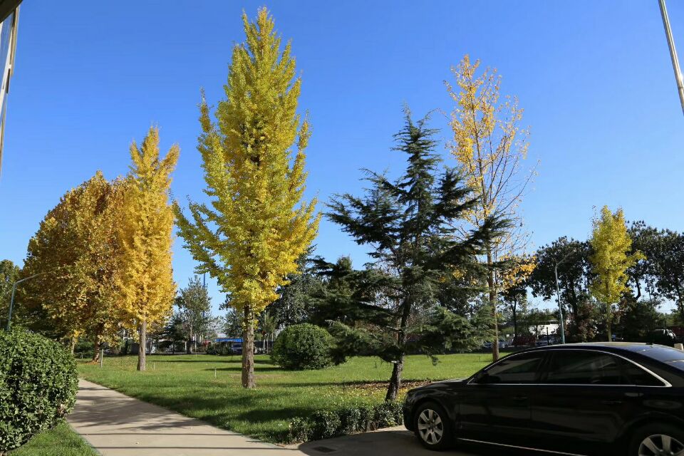 201711211393595.jpg 201711211393595.jpg