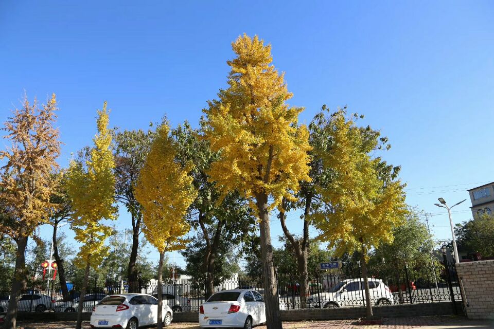 2017112113911345.jpg 2017112113911345.jpg