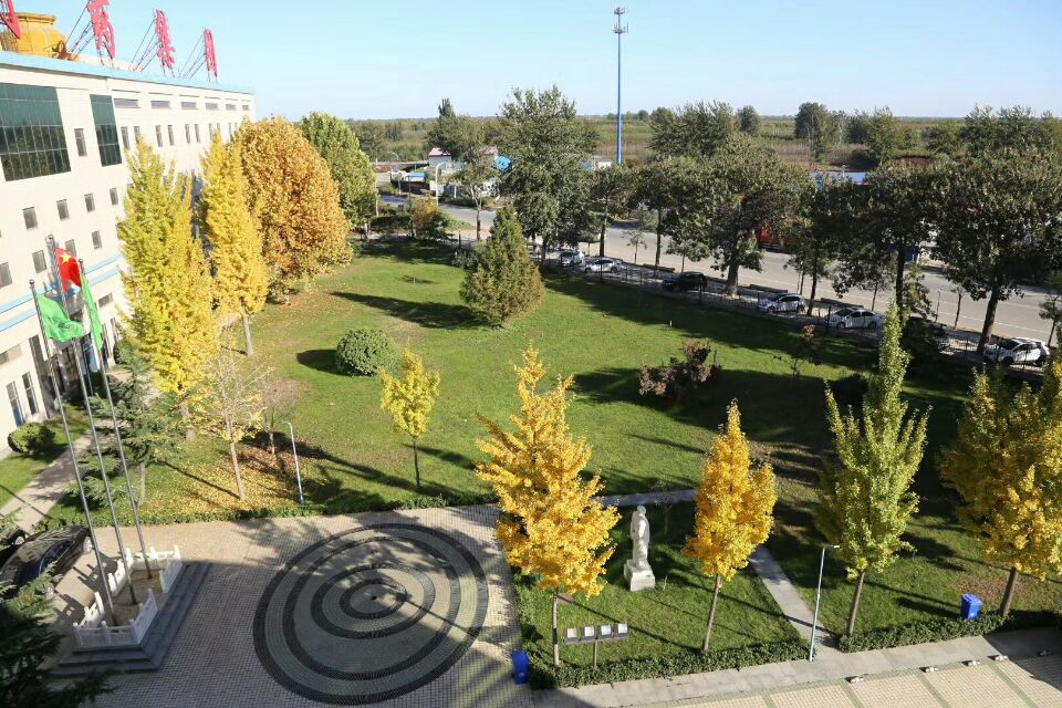 2017112113928976.jpg 2017112113928976.jpg