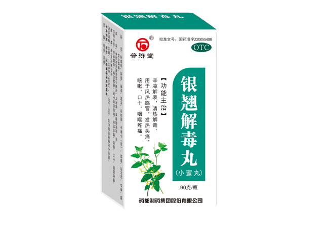 銀翹解毒丸小蜜丸.png 銀翹解毒丸小蜜丸.png